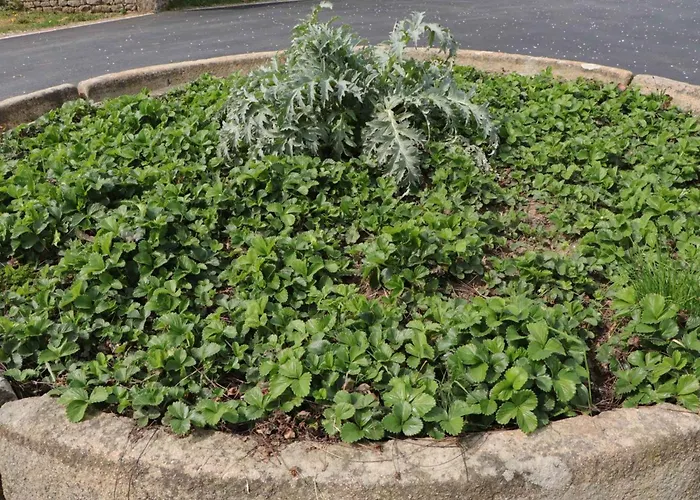 Hébergement de vacances Maison Chaleureuse En Normandie Avec Jardin Arboré - Fr-1-497-143