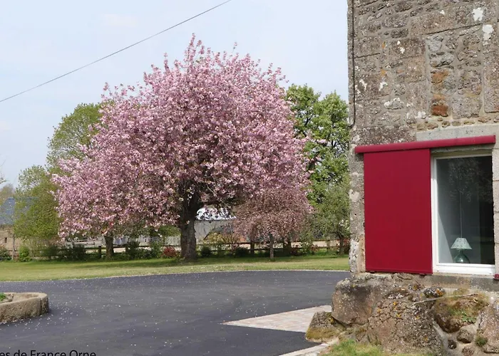 Maison Chaleureuse En Normandie Avec Jardin Arboré - Fr-1-497-143 * Menil-Gondouin